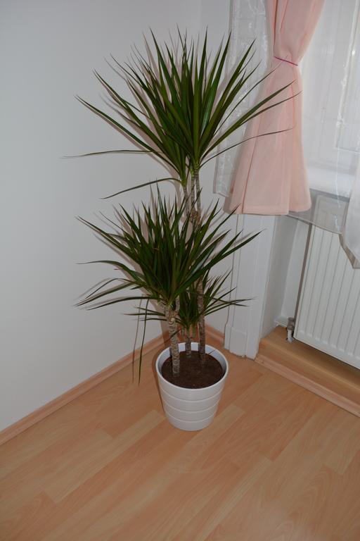 Erkel Apartman Budapest